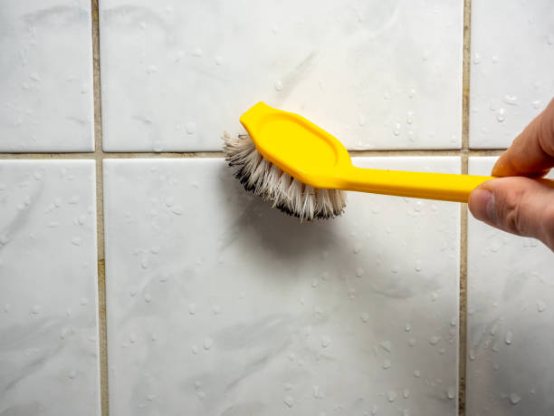 Best Mold Remediation  in Harrisville, UT